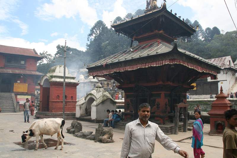 India & Nepal 2011 - 0250